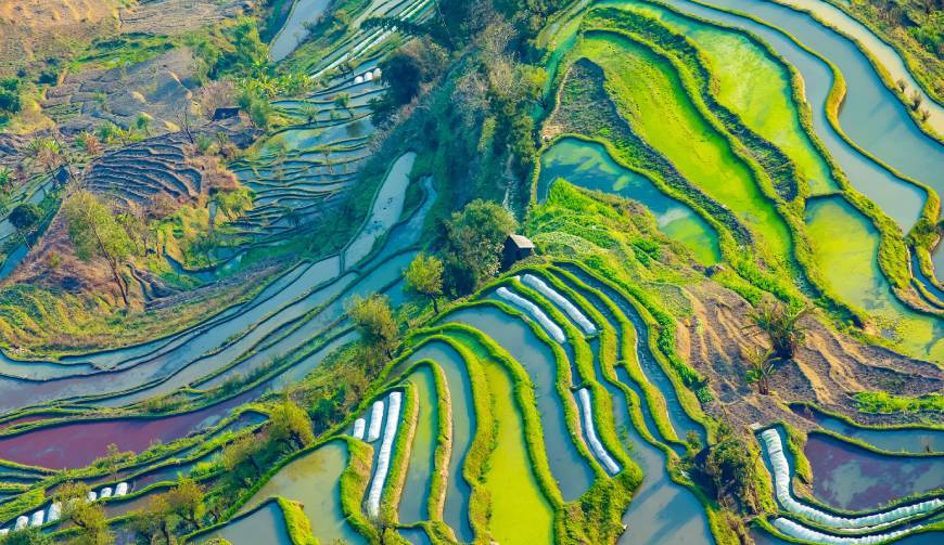 宝妈必备神器：新津县产品视频拍摄轻松育儿好帮手